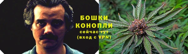 PSILOCYBIN Володарск