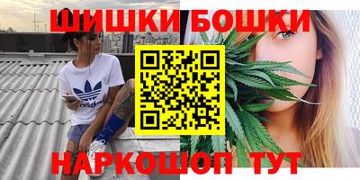 молекула духа Будённовск