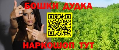 молекула духа Будённовск