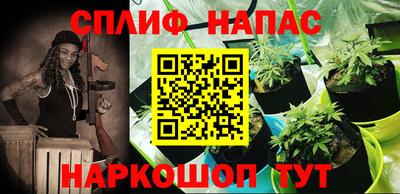 молекула духа Будённовск