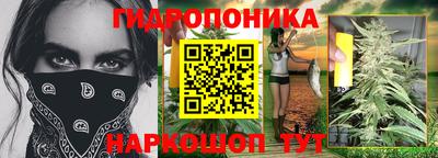молекула духа Будённовск