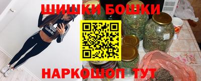 молекула духа Будённовск
