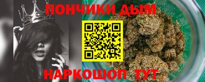 молекула духа Будённовск
