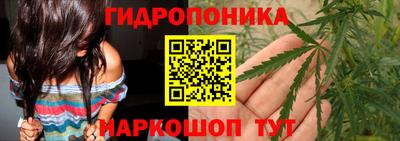 молекула духа Будённовск