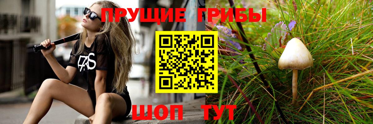 Галлюциногенные грибы MAGIC MUSHROOMS  Вход с VPN  где купить наркотик  Воскресенск 